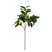 28" Lemon Branch Stems, 3ct.