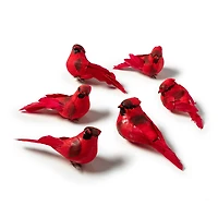 6 Packs: 6 ct. (36 total) Red Feather Cardinals by Ashland®