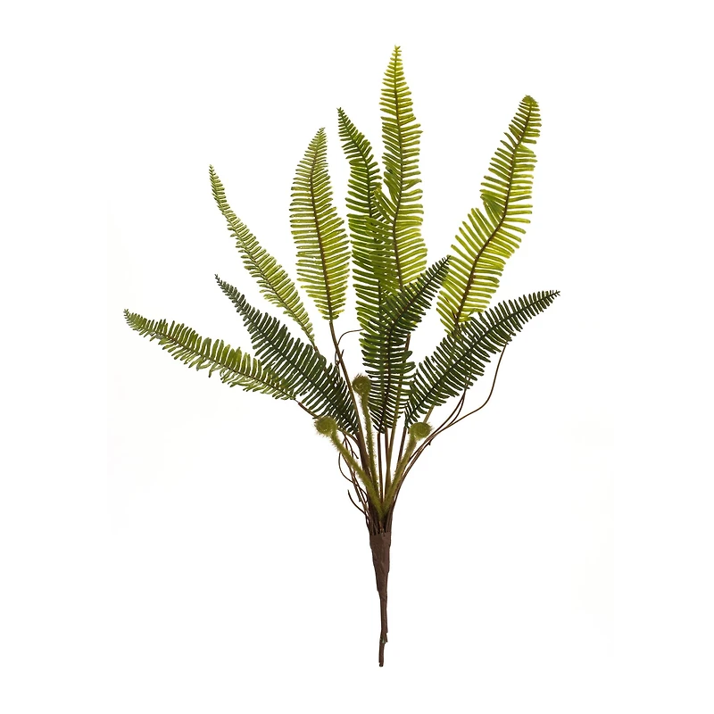 17.5" Varigated Fern Foliage Bushes, 6ct.
