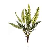 17.5" Varigated Fern Foliage Bushes, 6ct.