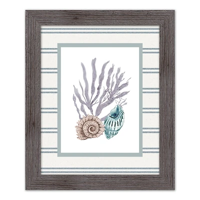 Snail & Banded Tulip Shell Western Framed Print