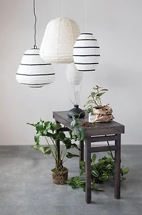 20'' Tainan Botanic Lantern