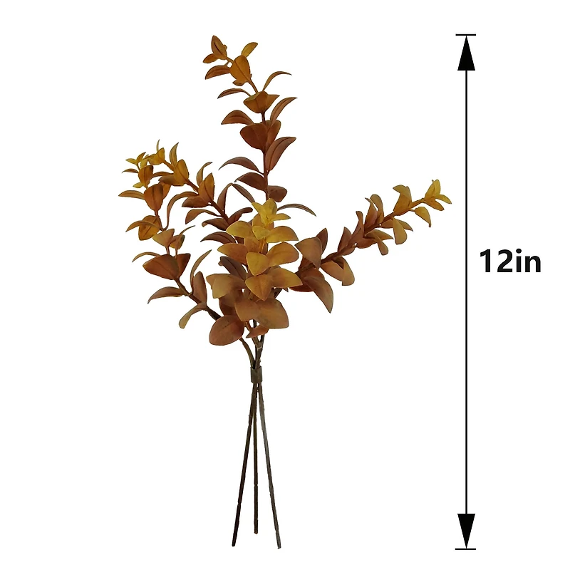 Mini Eucalyptus Bundle by Ashland