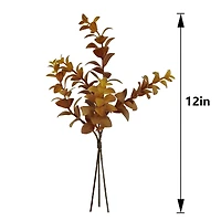 Mini Eucalyptus Bundle by Ashland