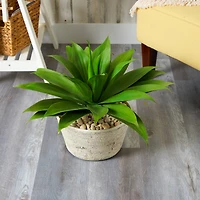 1.5ft. Agave Succulent Plant in White Planter 