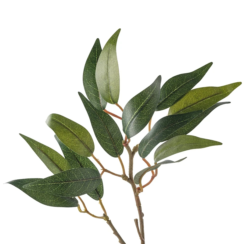 Osmanthus Stem by Ashland®