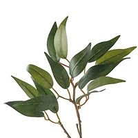 Osmanthus Stem by Ashland®