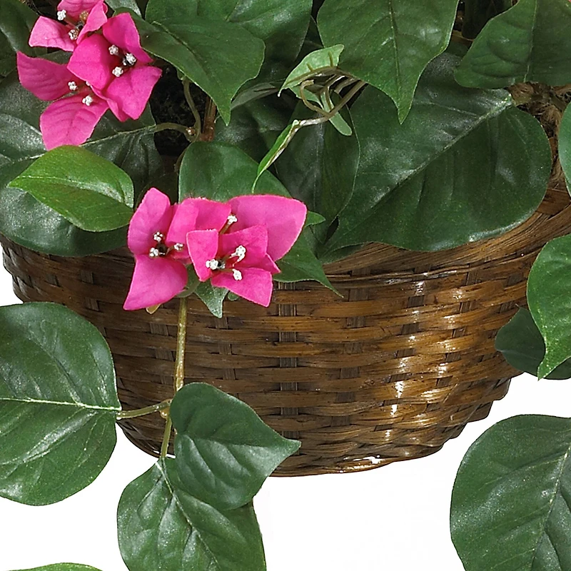 24" Pink Bougainvillea Hanging Basket