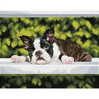 Diamond Dotz® Intermediate Boston Blues Diamond Art Painting Kit