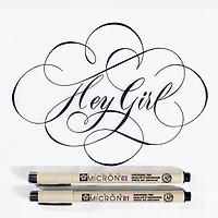 Pigma® Micron® Fine Line Black 6 Piece Pen Set