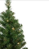 2ft. Pre-Lit Oakridge Noble Fir Artificial Christmas Tree, Clear Lights