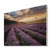 Designart - Sunrise & Dramatic Clouds Over Lavender Field VI