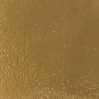 Detail Embossing Powder by Recollections™