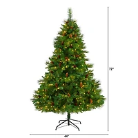6ft. Pre-Lit West Virginia Mixed Pine Artificial Christmas Tree, Clear LED Lights