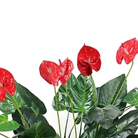 3.5ft. Tropical Green & Red Artificial Anthurium Potted Plant