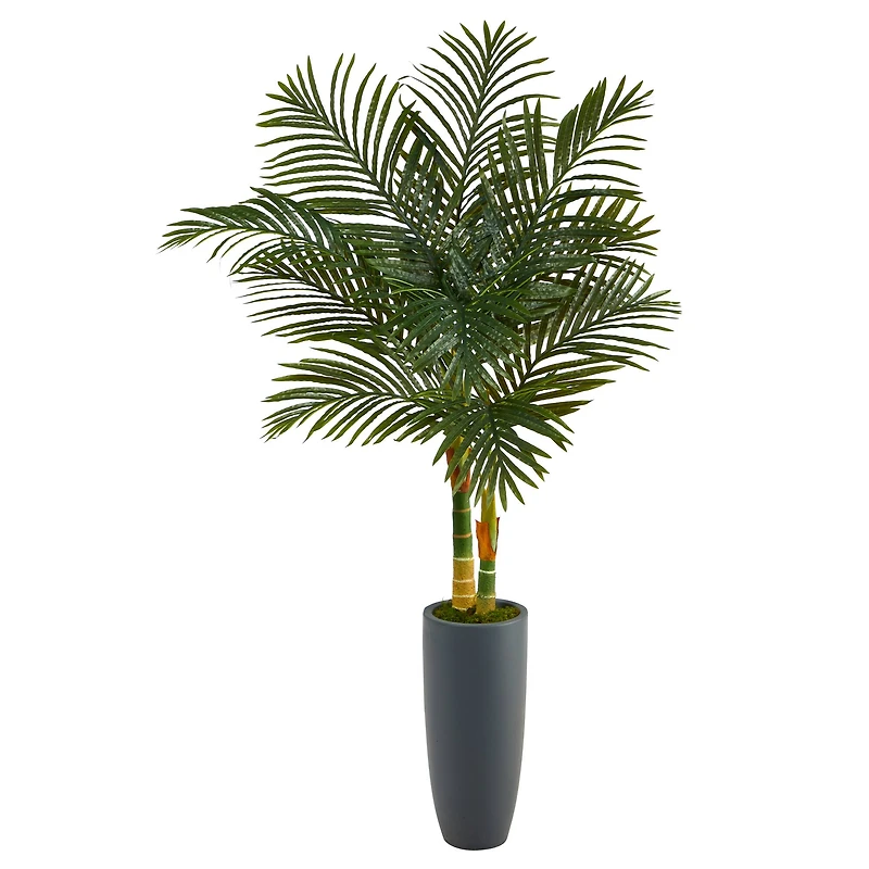 4.8ft. Golden Cane Palm Tree in Tall Gray Planter