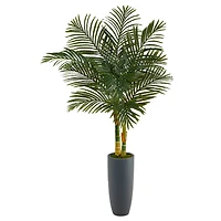 4.8ft. Golden Cane Palm Tree in Tall Gray Planter