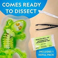 National Geographic™ Glow-in-the-Dark Gecko Dissection Lab