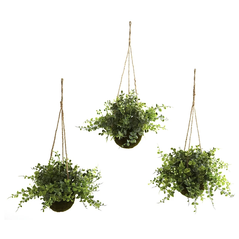 9'' Eucalyptus, Maiden Hair & Berry Hanging Basket, 3ct.