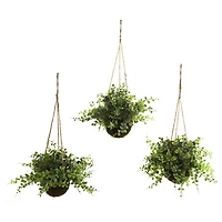 9'' Eucalyptus, Maiden Hair & Berry Hanging Basket, 3ct.