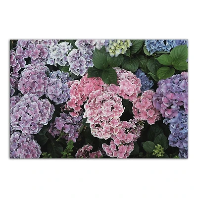 Colorful Hydrangeas 24" x 16" Canvas Wall Art
