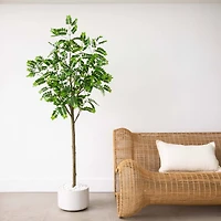 6ft. Potted Green Artificial Greco Citrus Tree with Real Touch Leaves