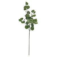 36" Seeded Eucalyptus Stem by Ashland®