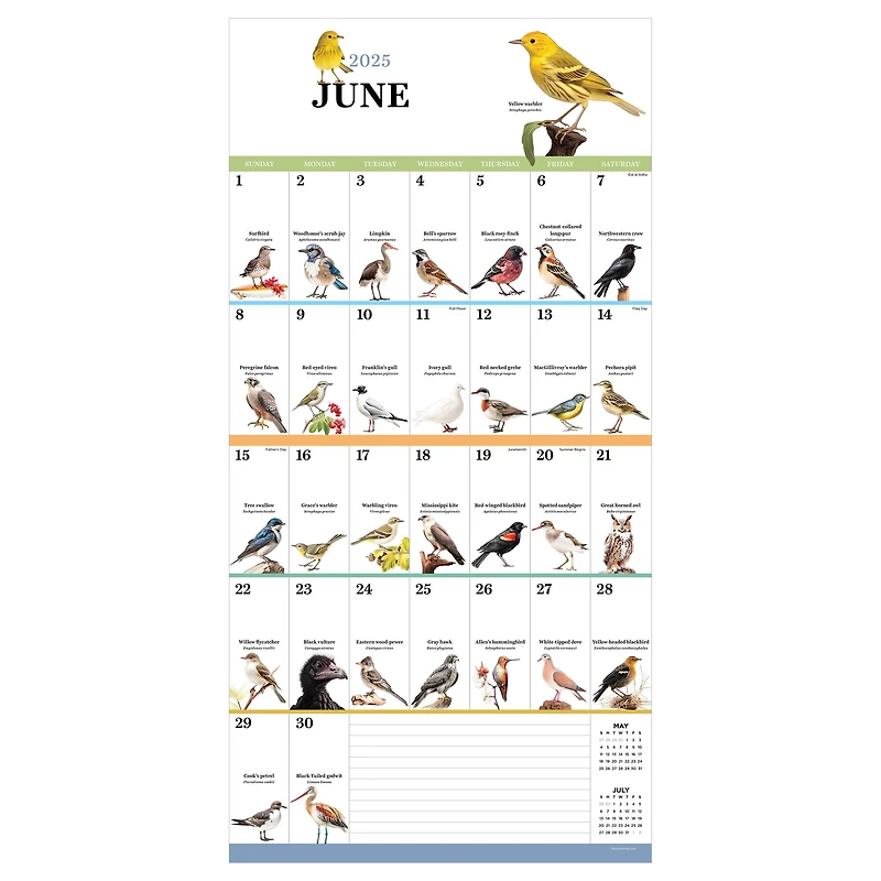 TF Publishing 2025 Birds: Backyard & Beyond Wall Calendar