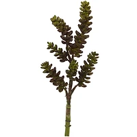 Green Succulent Stem, 12ct.