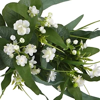 14" Eucalyptus & Baby's Breath Occasion Swag by Ashland®