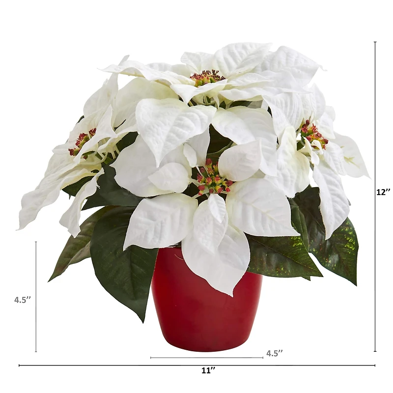 12" Potted White Poinsettia Set