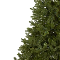 7.5ft. Pre-Lit Royal Grand Artificial Christmas Tree, Clear Lights