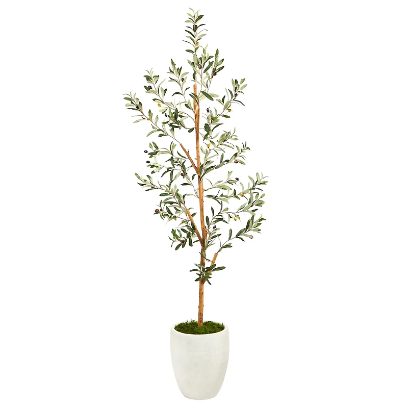 5.5ft. Olive Artificial Tree in White Planter