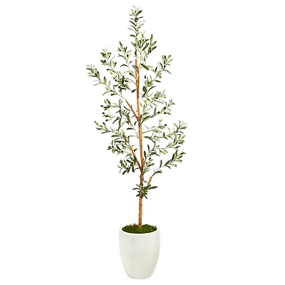 5.5ft. Olive Artificial Tree in White Planter