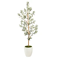 5.5ft. Olive Artificial Tree in White Planter