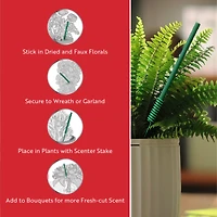 Scentsicles Stick Sun Soaked Lavender and Into the Vanilla Woods, 2 pack of 6