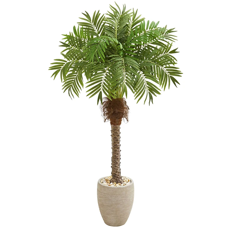 5.5ft. Robellini Palm Tree in Sandstone Planter