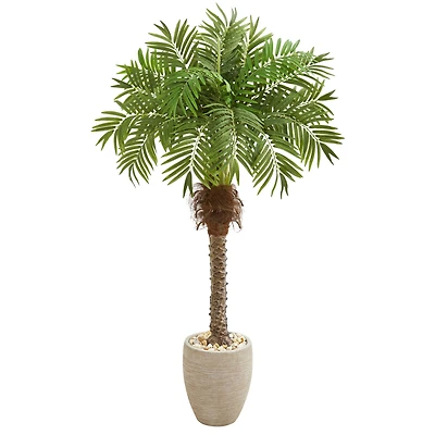 5.5ft. Robellini Palm Tree in Sandstone Planter