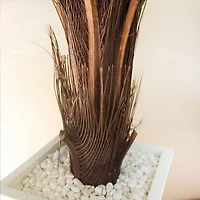 4.5ft. Cycas Plant in White Tower Planter