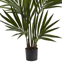 4ft. Potted Kentia Palm Silk Tree
