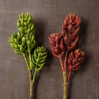 Assorted 11" 3 Head Succulent Pick by Ashland®, 1pc.