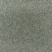 Extra Fine Polyester Glitter by Recollections