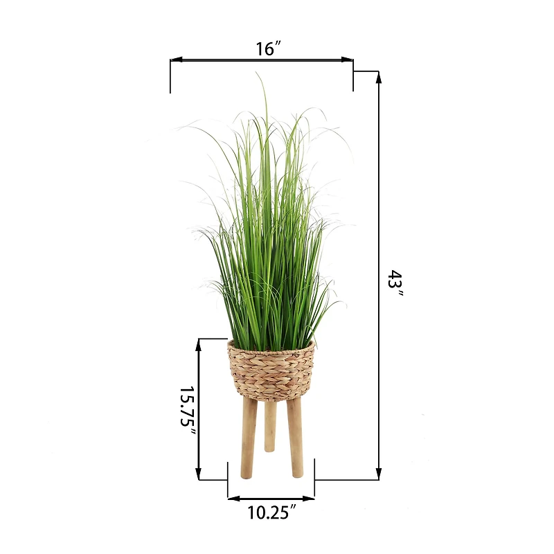 Flora Bunda® 3.5ft. Onion Grass in Basket Planter on Wood Stand