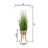 Flora Bunda® 3.5ft. Onion Grass in Basket Planter on Wood Stand