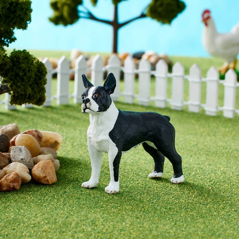 Safari Ltd® Best In Show Dogs Boston Terrier