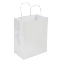 Medium Silver Gift Bag Value Pack by Celebrate It™