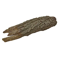 Brown Tree Bark, 6ct.