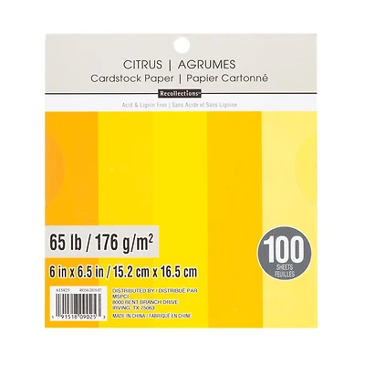 Citrus 6" x 6.5" Cardstock Paper by Recollections™, 100 Sheets