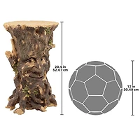 Design Toscano 20.5" Craggy Bark Ent Tree Side Table