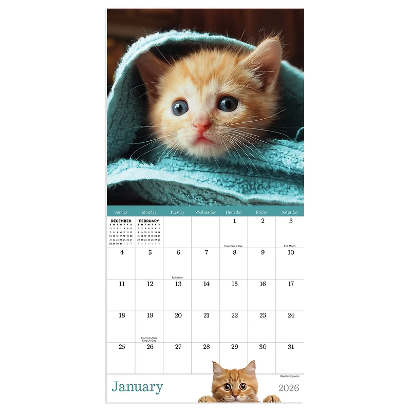 2026 Kittens Mini Calendar